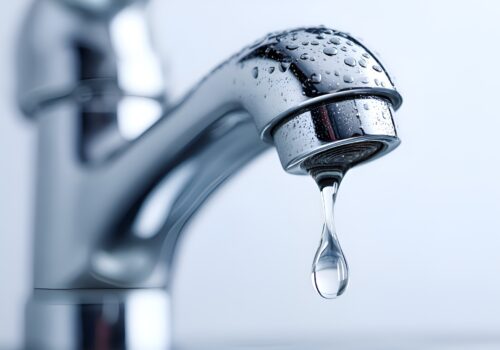 Wasser sparen rund ums Haus – praktische Ideen für jedes Budget