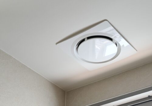 Frischer Wind an der Wand: So wird deine Raumluft zum Erlebnis